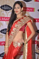 Swetha Saree Photos
